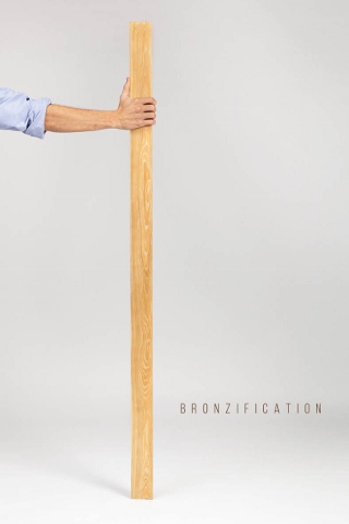 Francesco Faccin – Bronzification